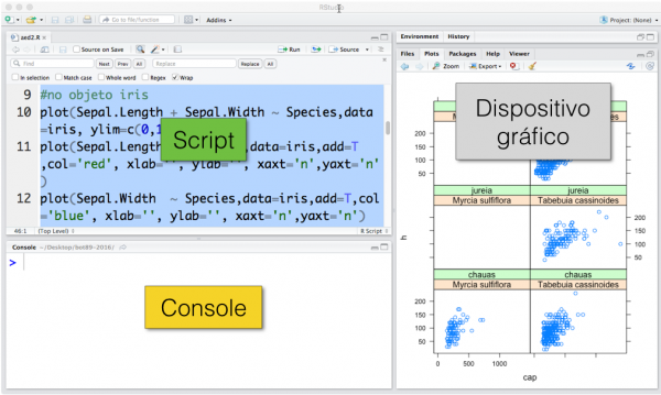  Imagem de uma sessão do RStudio com três painéis abertos.